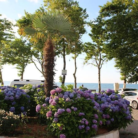 Deniz Yildizi Pansiyon Apartment Akcakoca Exterior photo